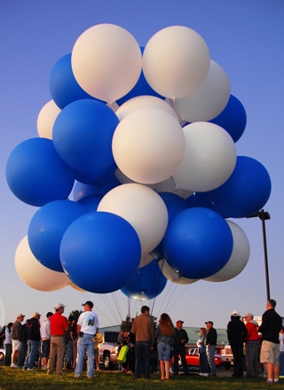 Trappe's Blueberry Cluster