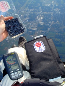 Blueberries Over Plymouth