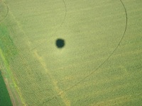 Flying Over Crops
